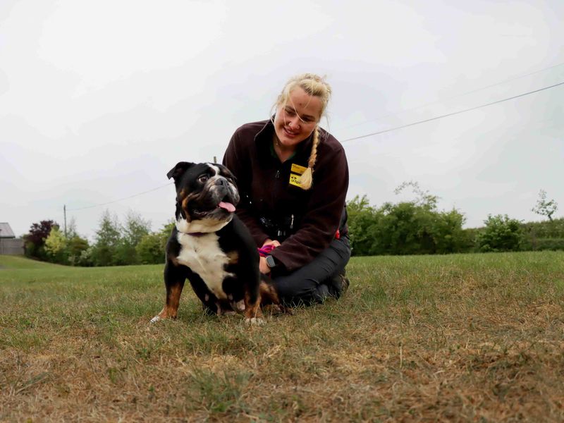 Snuffles for sale in Sadberge, Co Durham