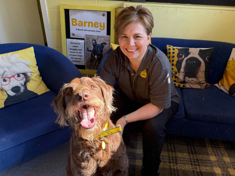 Bailey for sale in West Calder, West Lothian - Image 3