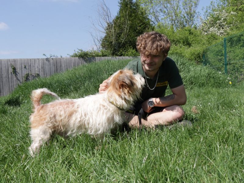 Freddie for sale in Evesham, Worcestershire - Image 2