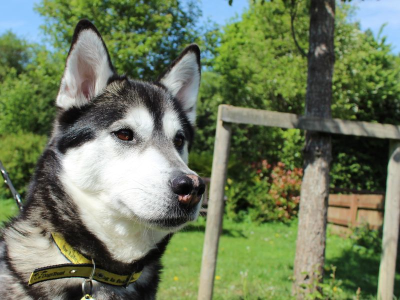 Kyla for sale in Newbury, Berks | Image 4