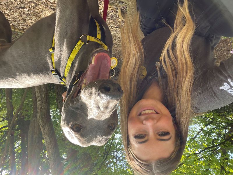 Lando Longlegs for sale in West Calder, West Lothian