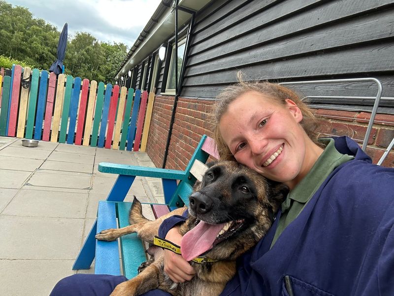 Olivia | Belgian Shepherd Dog (Malinois) | Canterbury - 1