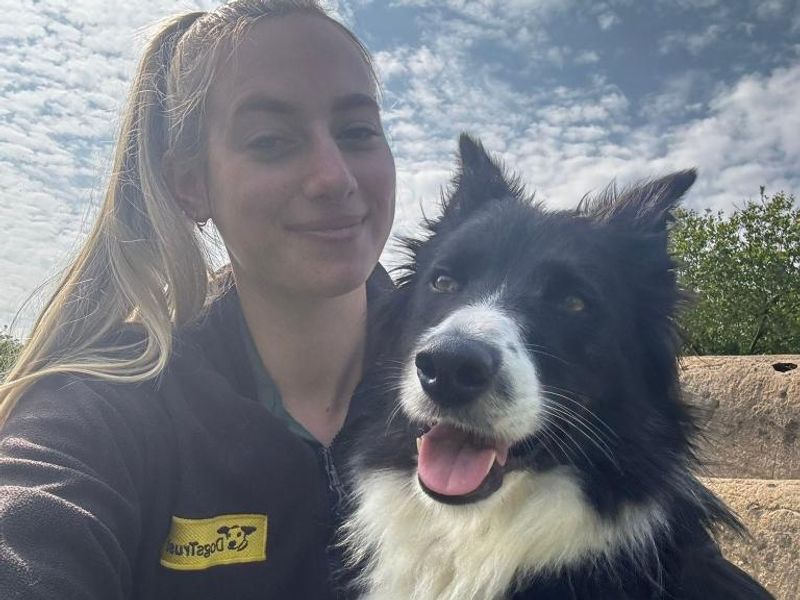 Millie for sale in Telford, Shropshire