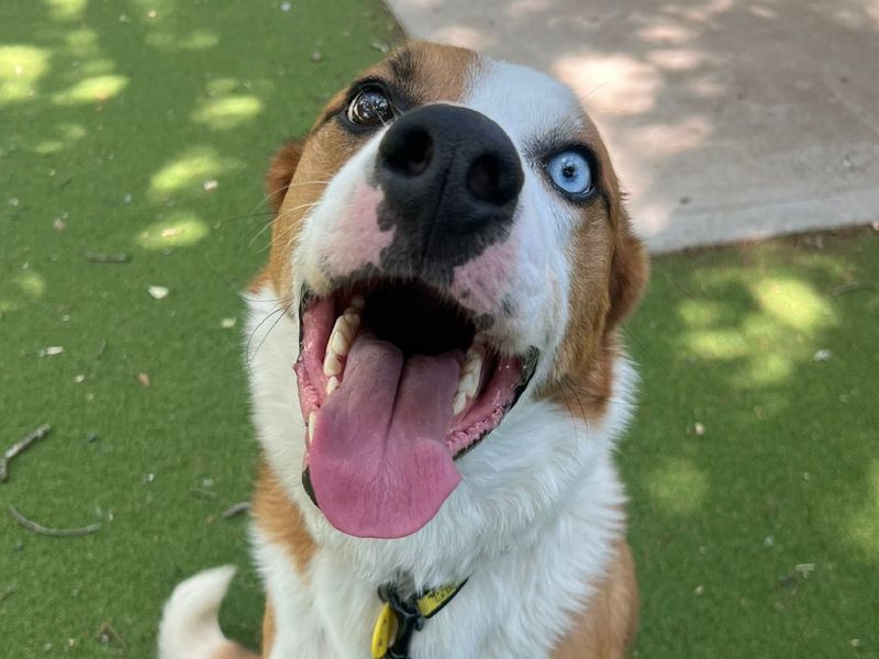 Lorcan - Image 6 of 6