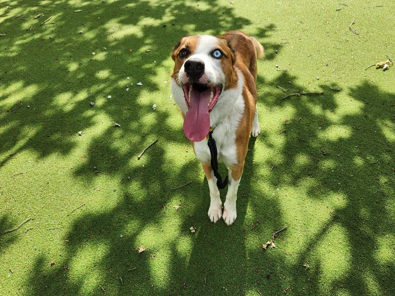 Lorcan - Image 2 of 6