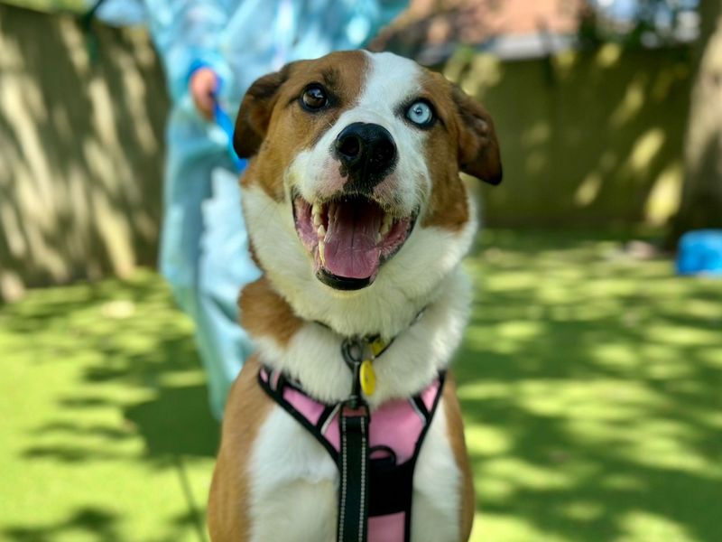 Lorcan - Image 4 of 6