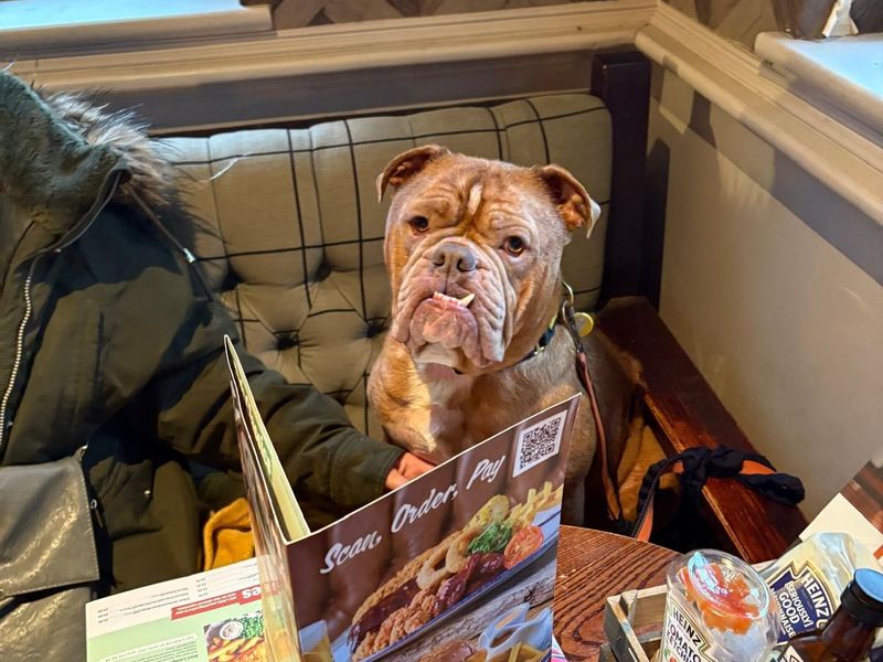undefined | Bulldog | undefined - 6