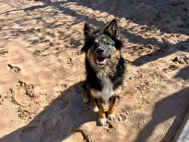 Roman - Image 3 of 3