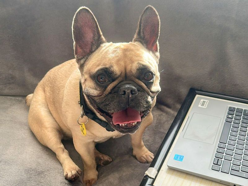 Matilda - Image 2 of 2