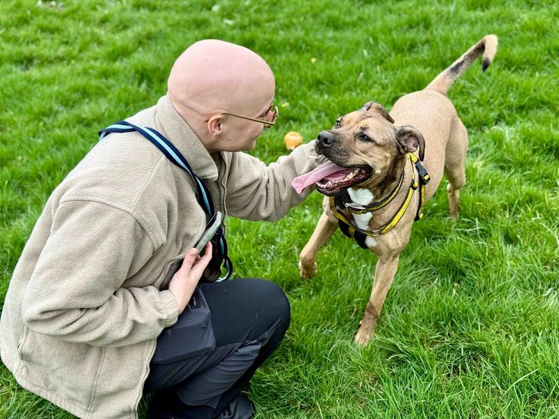 Roxy | Bulldog Cross | Cardiff - 6