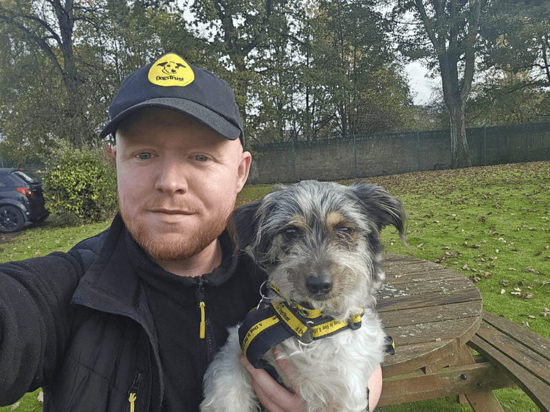 Jack Russell Terrier for adoption in , – 8 years old - Image 10 of 10