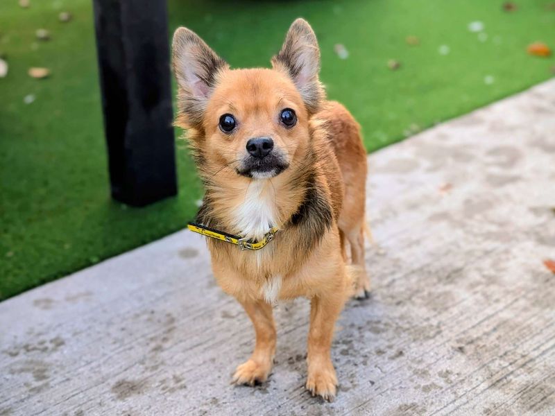 Derek - Image 3 of 3