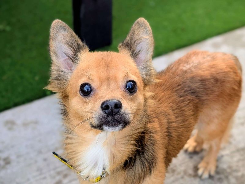 Derek - Image 2 of 3