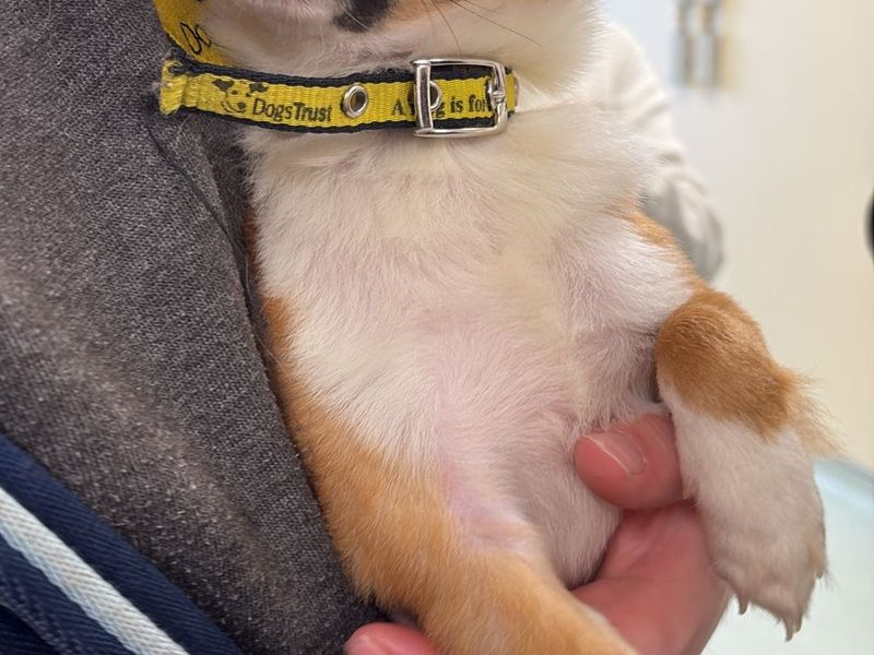 Doris - Image 2 of 2