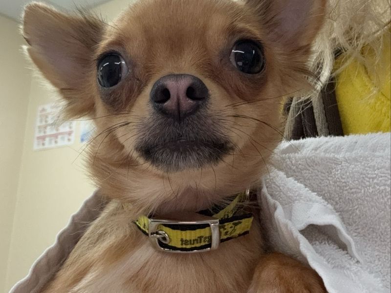 Florence - Image 2 of 4