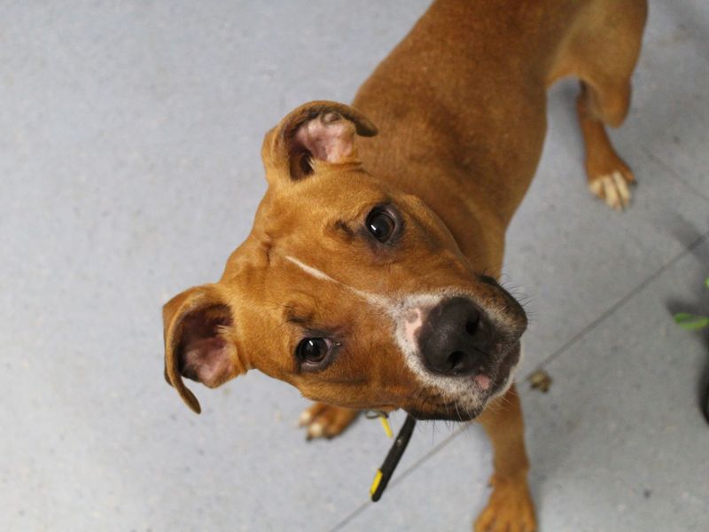 Ponyo - Image 2 of 10