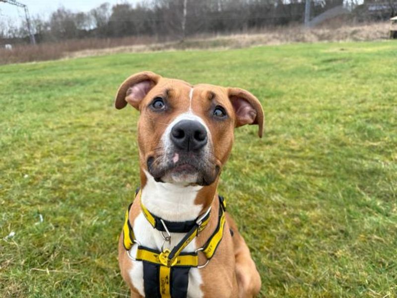 Ponyo - Image 5 of 10