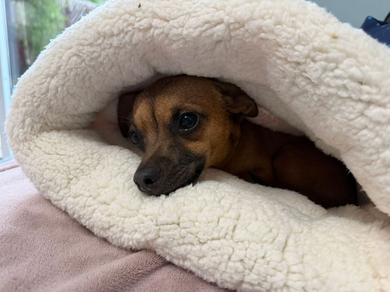 Ethel - Image 6 of 9