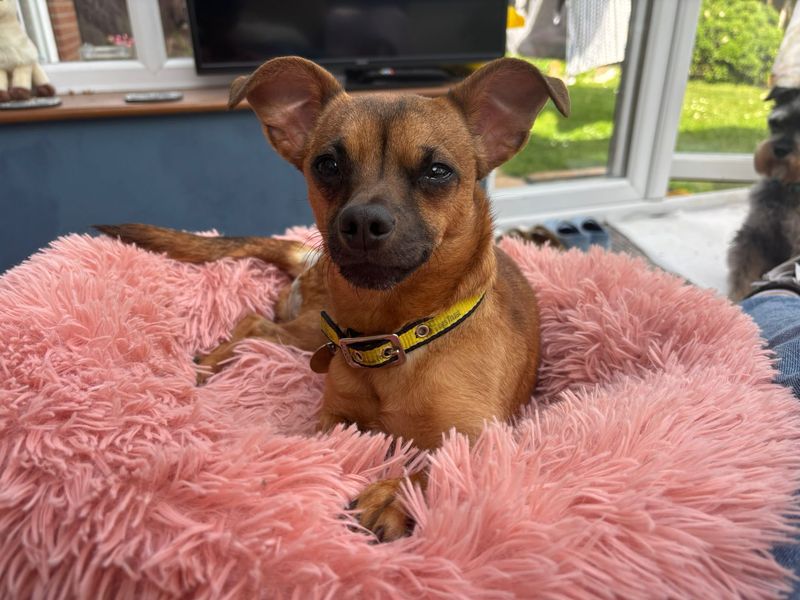 Ethel - Image 5 of 9