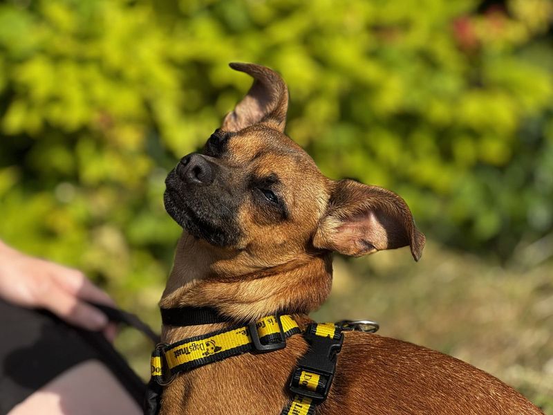 Ethel - Image 3 of 9