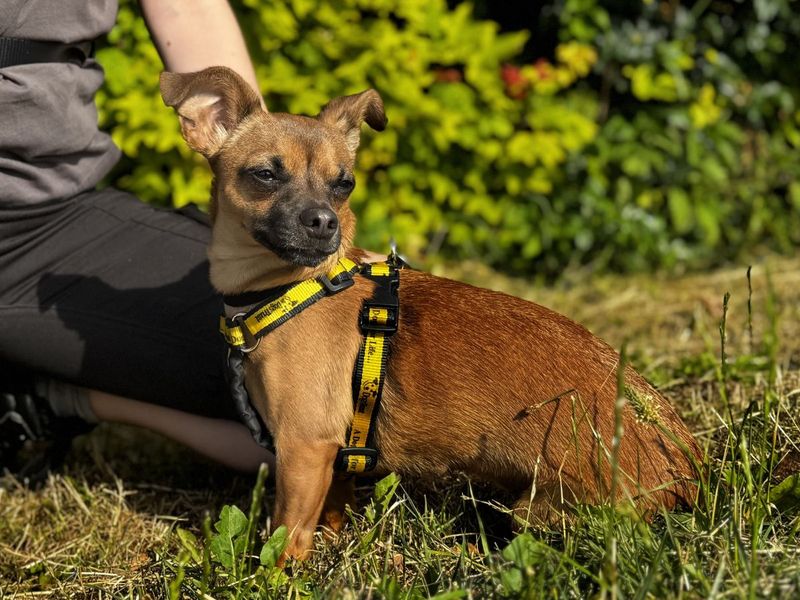 Ethel - Image 7 of 9