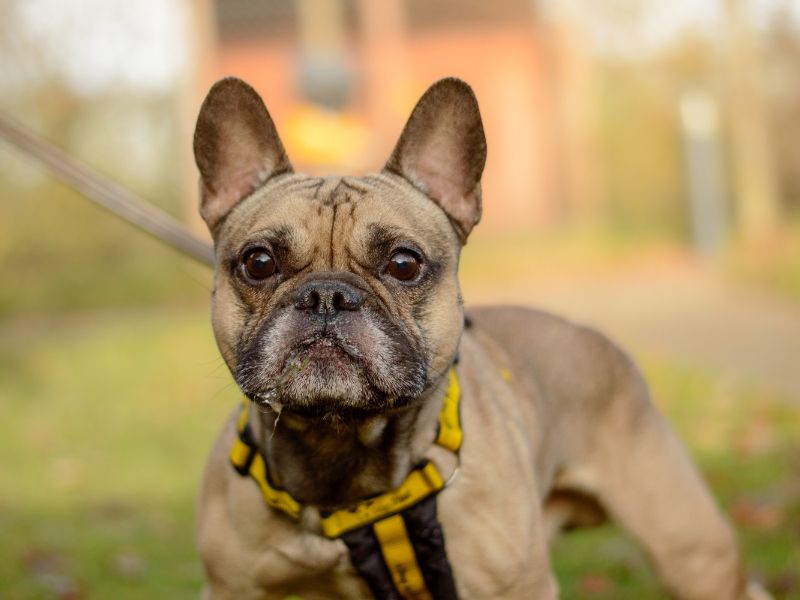 Bubbles - Image 3 of 3