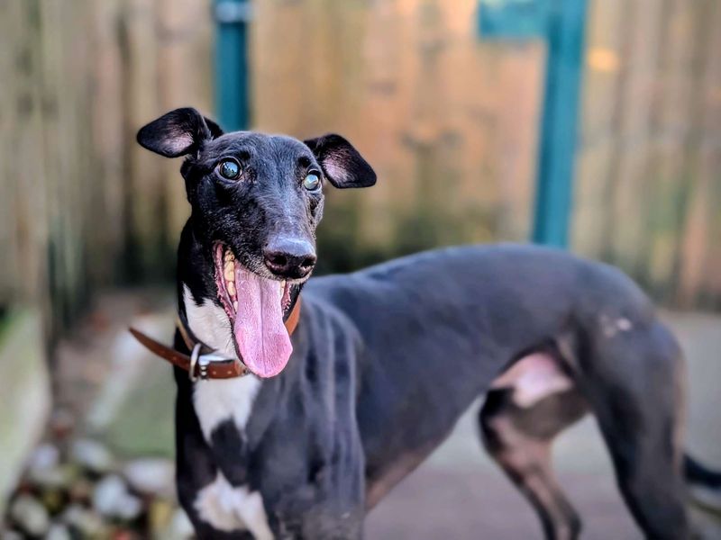 Aidan - Image 3 of 6