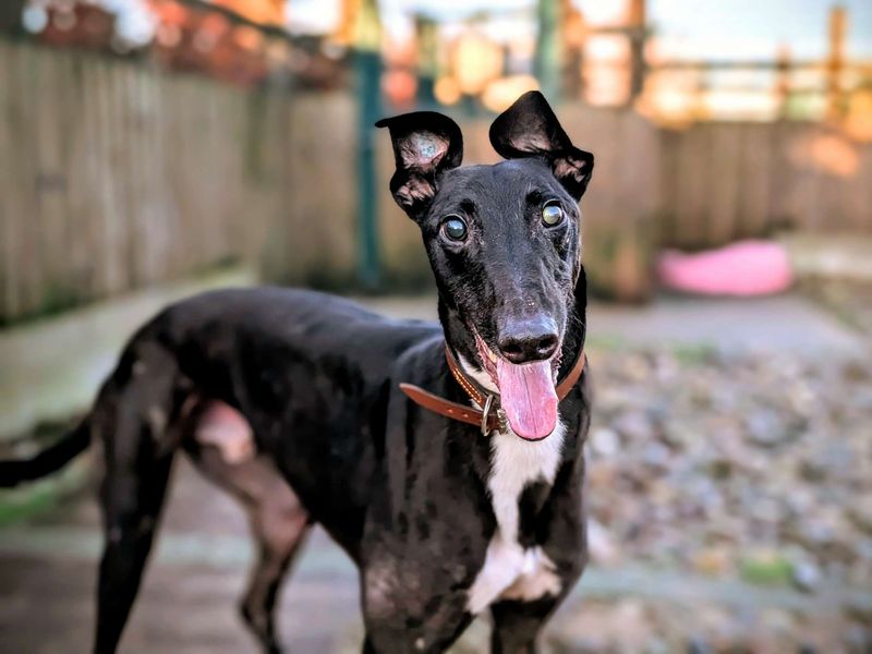 Aidan - Image 6 of 6