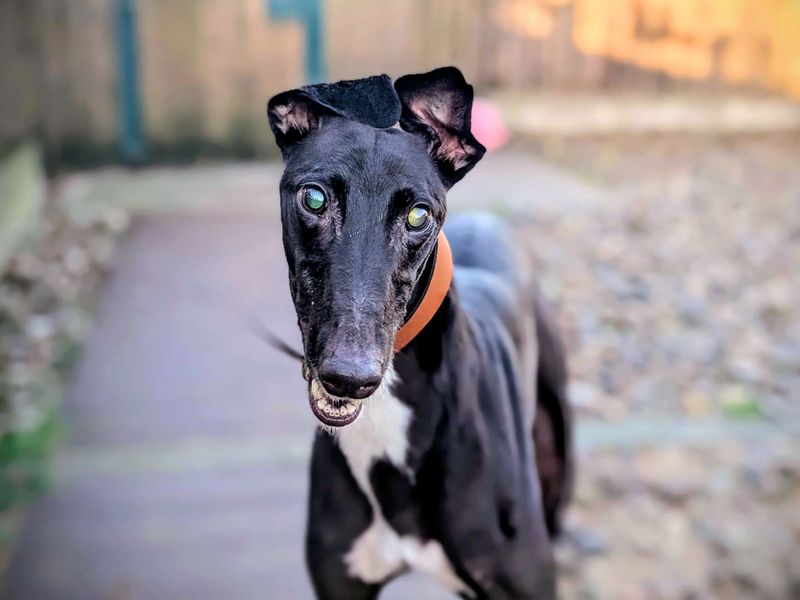 Aidan - Image 4 of 6