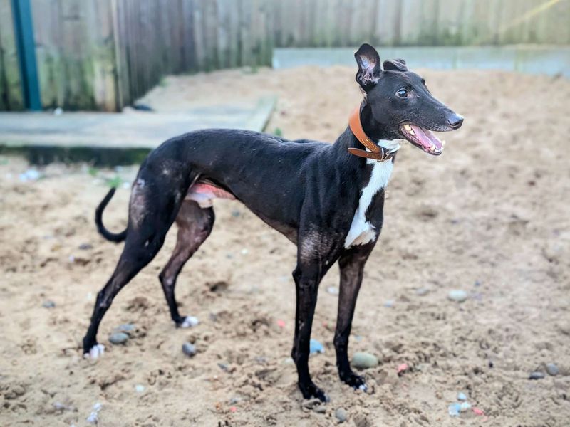 Aidan - Image 2 of 6