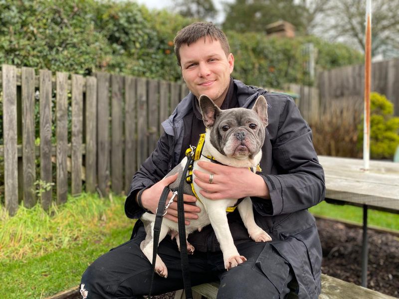 French Bulldog for adoption in , – 6 years old