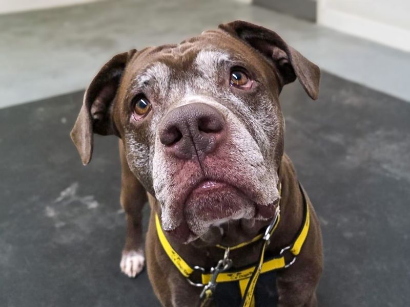 Layla - Image 8 of 8