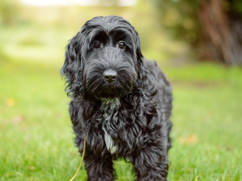 Lunar - Image 2 of 2