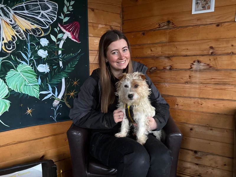 Jack Russell Terrier for adoption in West Calder, West Lothian – 1 year old