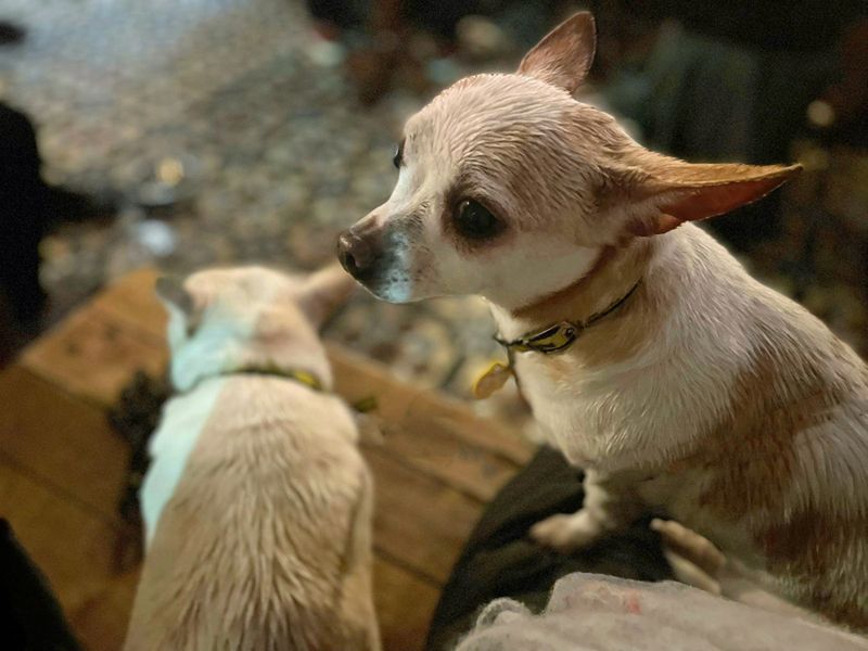 Angel - Image 2 of 4