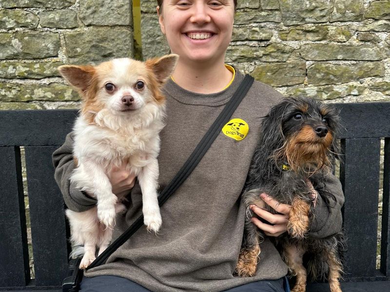 Drake - Image 2 of 2