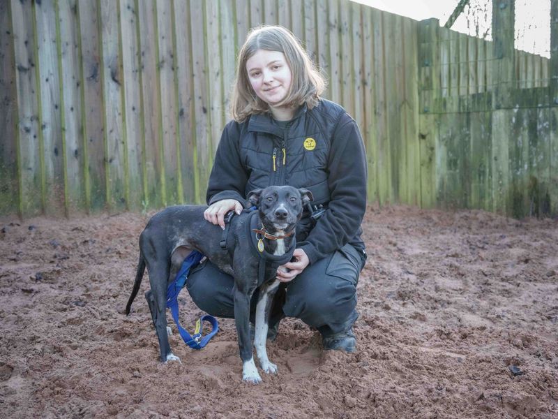 Indigo - Image 4 of 5