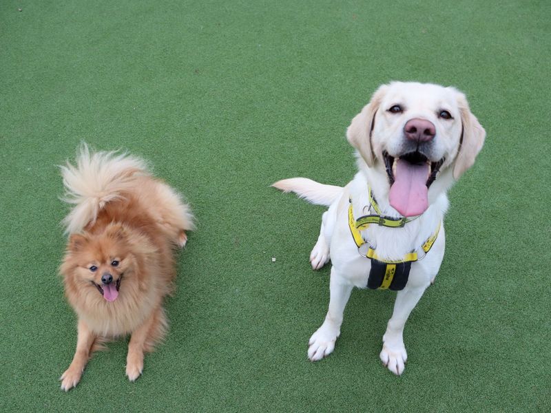 Storm - Image 2 of 4