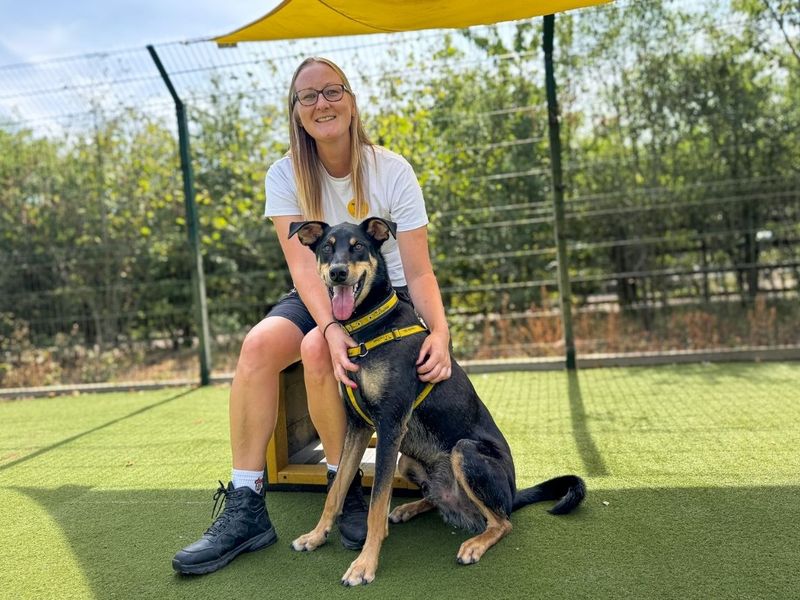 Ajax | Dobermann Cross | Snetterton (Norfolk) - 6