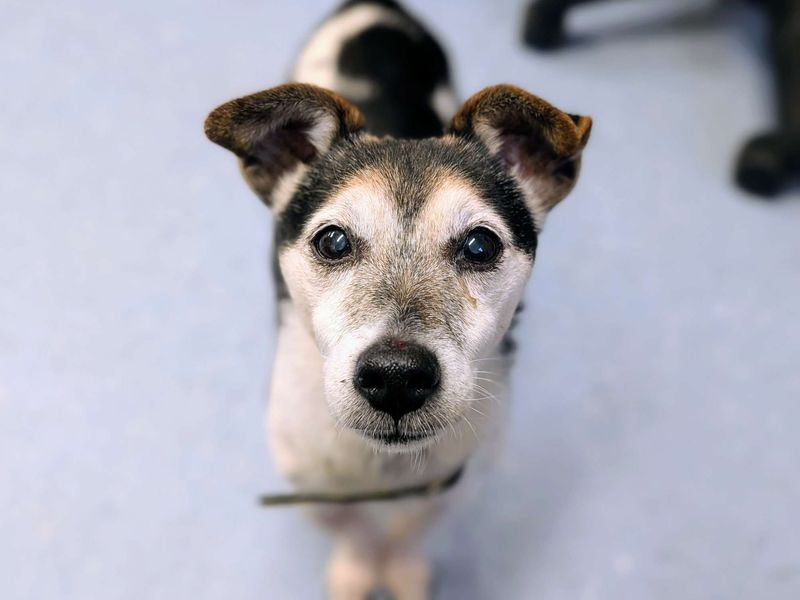 Cloud - Image 2 of 2