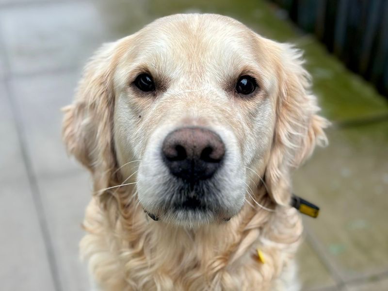 Benson - Image 3 of 5