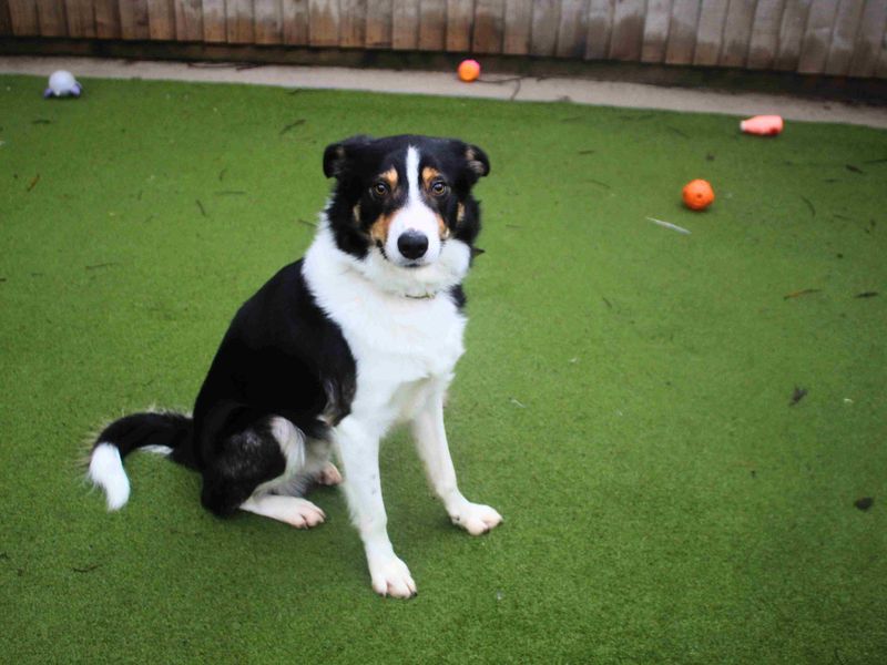 Morgan - Image 5 of 6