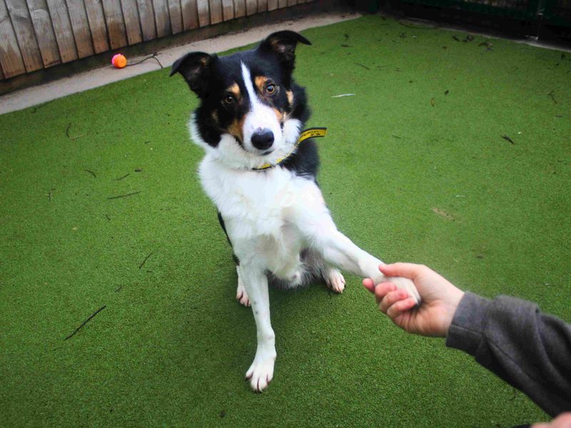 Morgan - Image 2 of 6