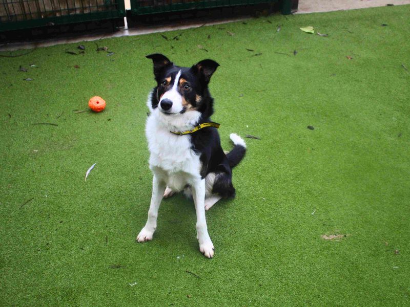 Morgan - Image 3 of 6