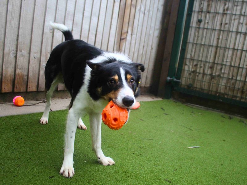 Morgan - Image 6 of 6