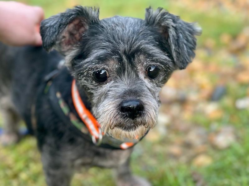 Beauty & Lara - Image 2 of 2