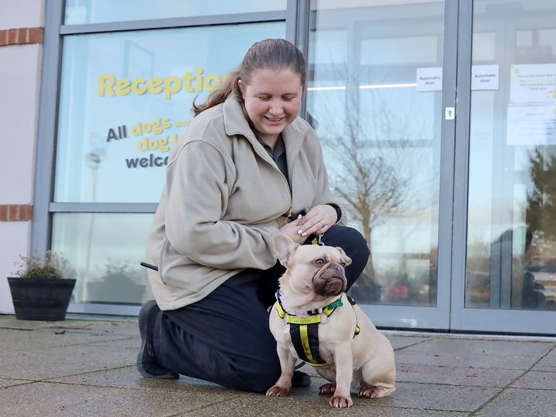 Winnie - Image 2 of 2