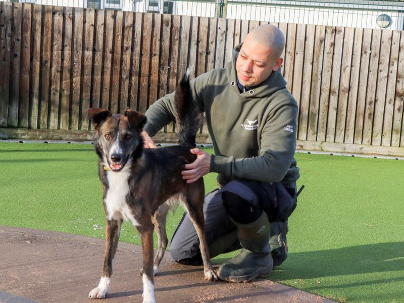 Crinkle - Image 9 of 9