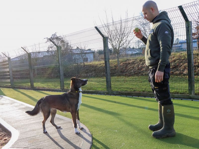 Crinkle - Image 7 of 9