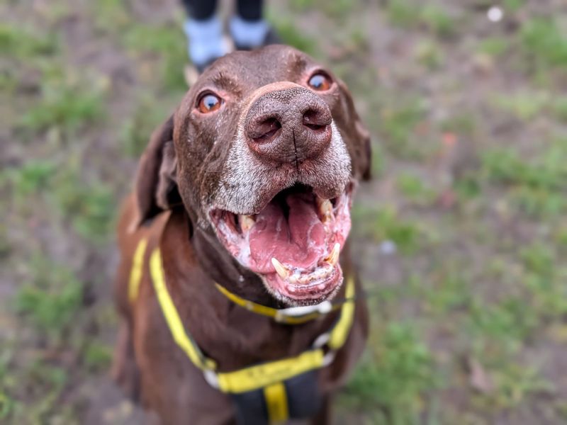 Duncan - Image 2 of 4